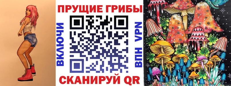 Купить  Белогорск  Галлюциногенные грибы MAGIC MUSHROOMS 